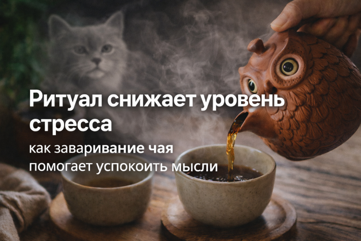 Ритуал снижает уровень стресса: как заваривание чая помогает успокоить мысли