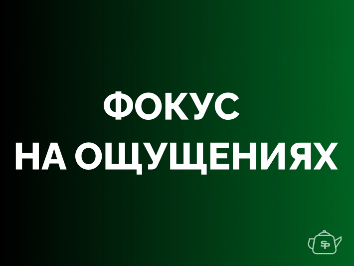 Фокус на ощущениях: почему китайское чаепитие снижает тревожность