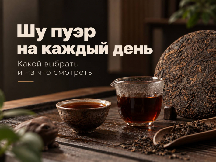 Шу пуэр на каждый день: какой выбрать и на что смотреть